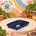 PET NOVA Cat Life Kitty Tray Small - Blue 36,8 x 27,6 x 6,1 cm