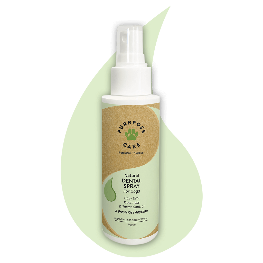 Purrpose Care - Natural Dental Spray 100ml