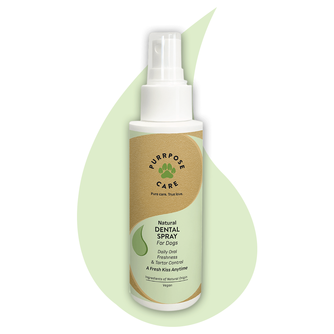 Purrpose Care - Natural Dental Spray 100ml