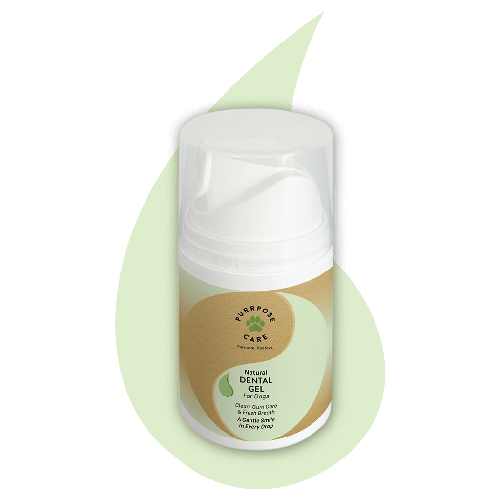 Purrpose Care - Natural Dental Gel 50ml