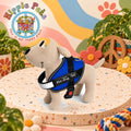PAW CARE Σαμαράκι Σκύλου 'Hard Harness' - Medium