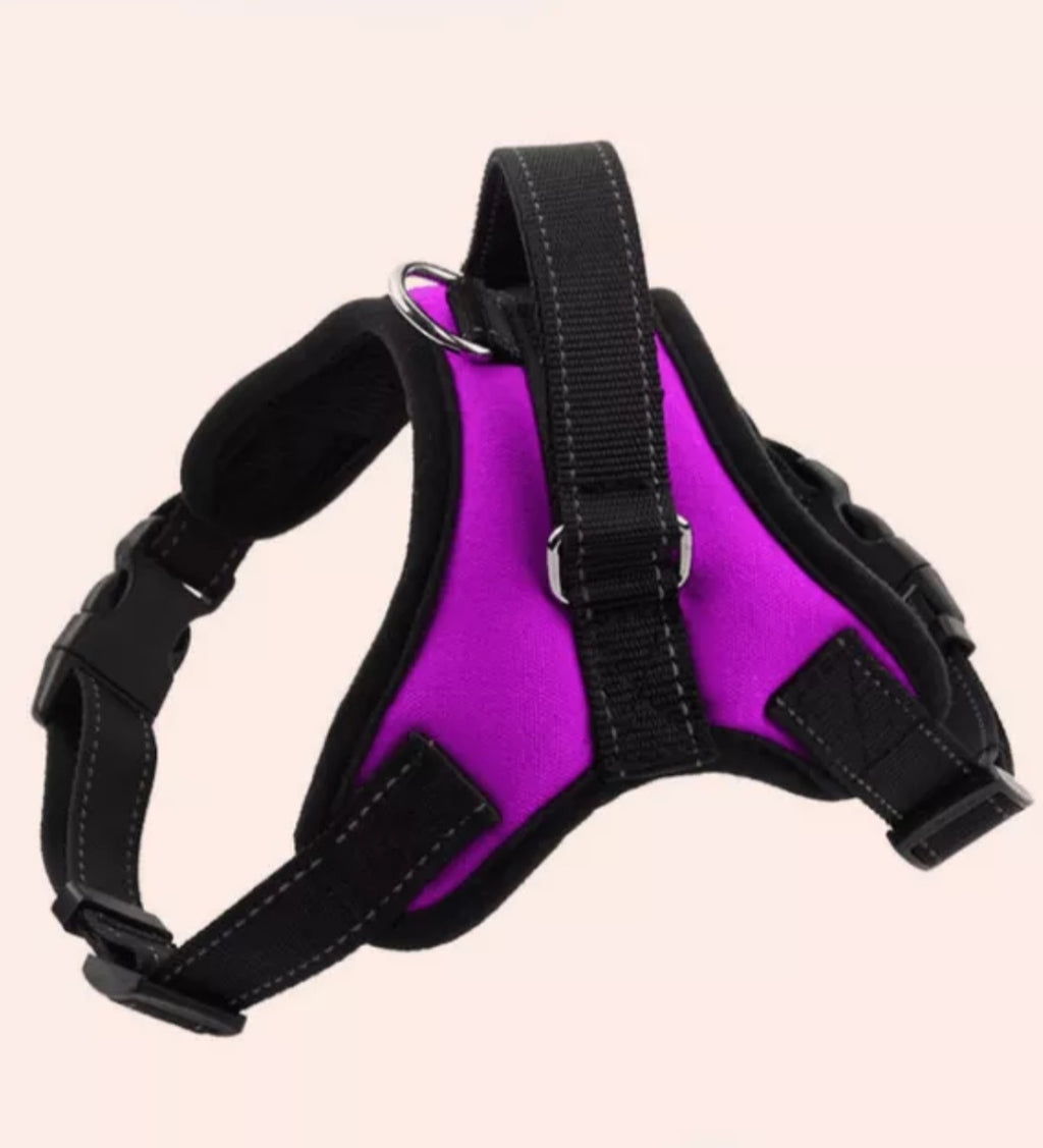 PAW CARE Σαμαράκι Σκύλου Safe Harness - Small - Μωβ