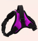 PAW CARE Σαμαράκι Σκύλου Safe Harness - Small - Μωβ