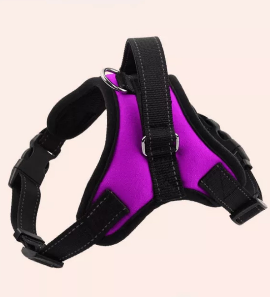 PAW CARE Σαμαράκι Σκύλου Safe Harness - Small - Μωβ