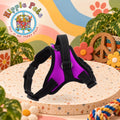 PAW CARE Σαμαράκι Σκύλου Safe Harness - Small