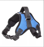 PAW CARE Safe Dog Harness - Medium