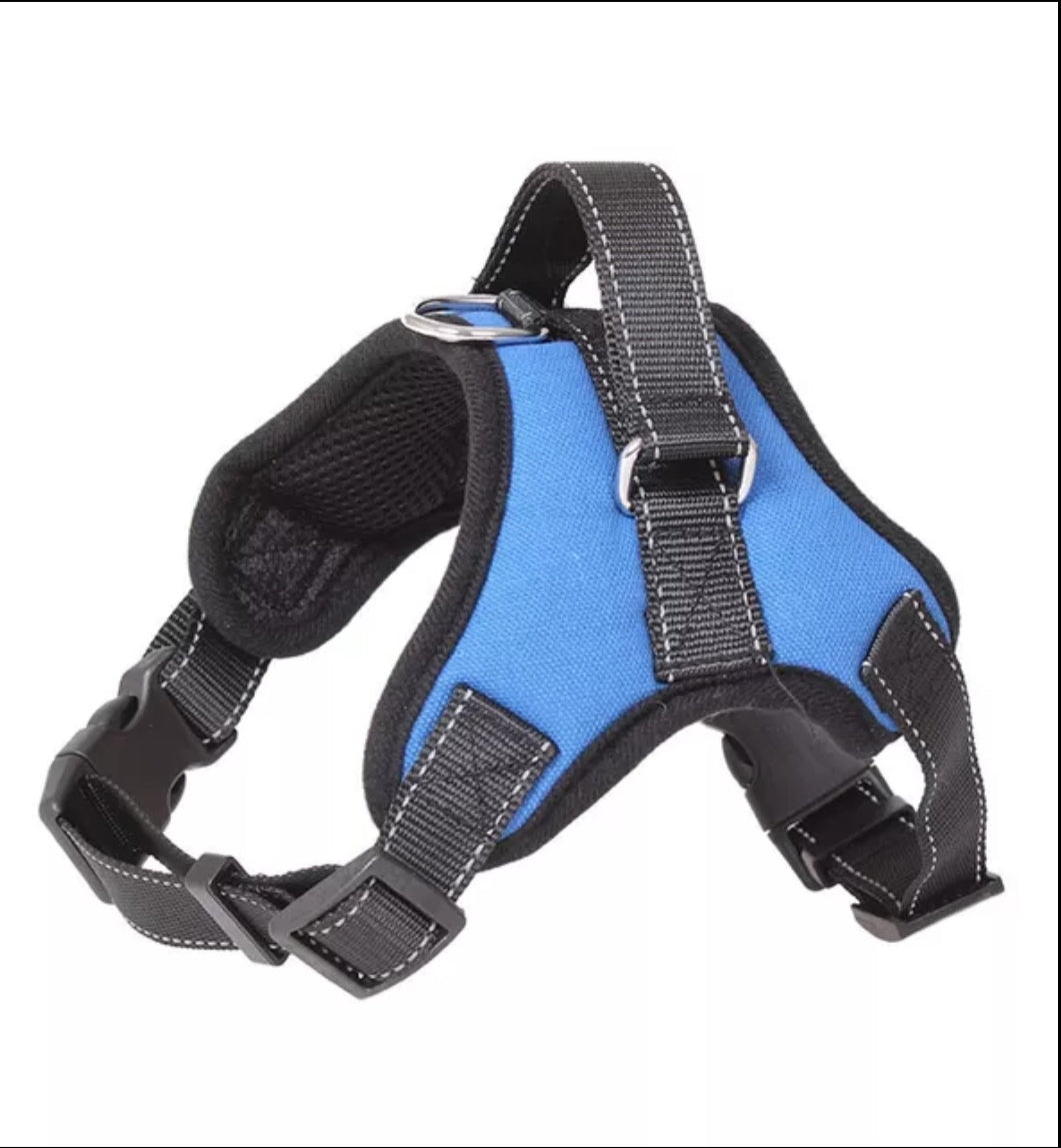 PAW CARE Safe Dog Harness - Medium