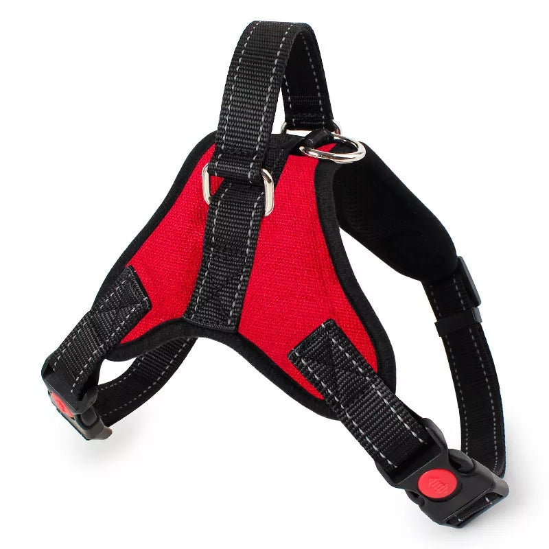 PAW CARE Dog Safe Harness - XL