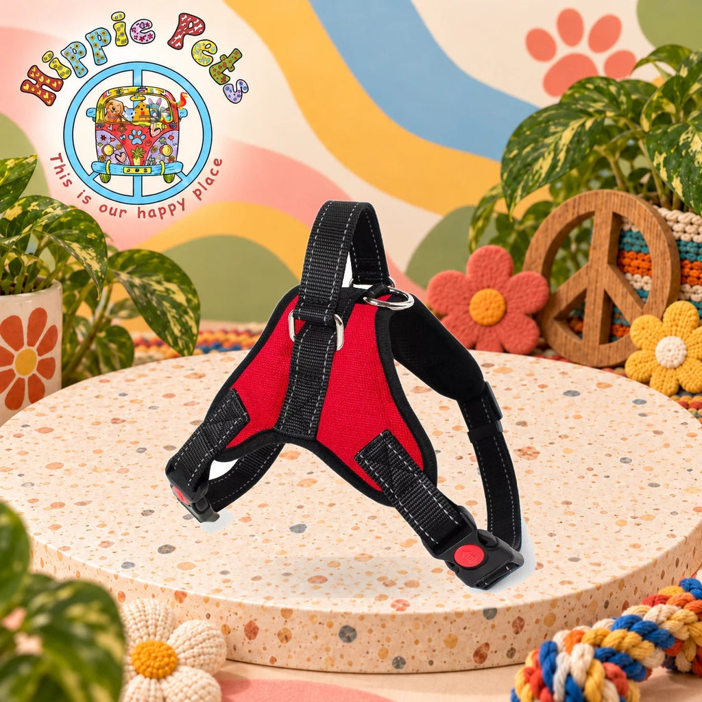 PAW CARE Σαμαράκι Σκύλου Safe Harness - XL