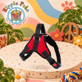 PAW CARE Σαμαράκι Σκύλου Safe Harness - XL