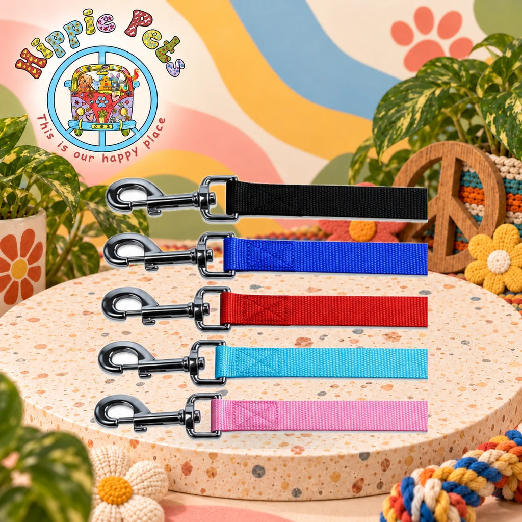 PAW CARE Nylon Leash Guide - Medium 20mm x 100cm