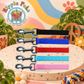 PAW CARE Nylon Leash Guide - Medium 20mm x 100cm