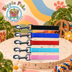 PAW CARE Nylon Leash Guide - Medium 20mm x 100cm