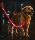 PAW CARE Οδηγός Climbing Rope Reflective - 1.2mm x 120cm - Μπλε