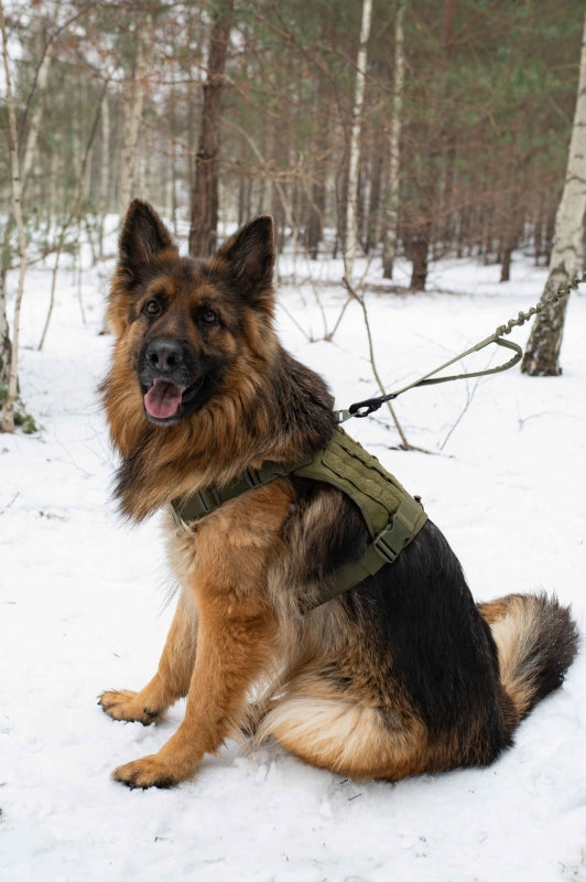 PET NOVA Tactic Harness/Leash