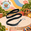PET NOVA Οδηγός/Λουρί Bungee
