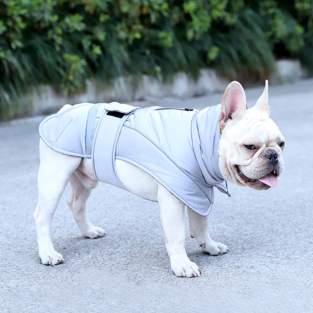 OHANA Αντιανεμικό Παλτό Windproof Dog Coat Self Warming - XL - Γκρι – φωτογραφία 5