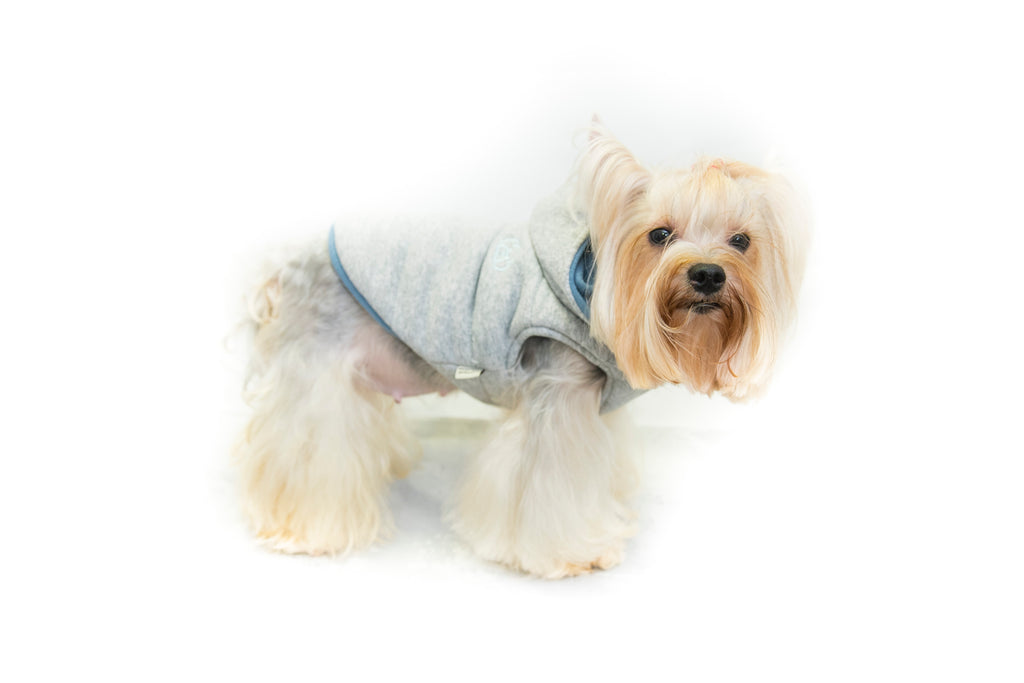 PET CAMELOT Φούτερ με Κουκούλα - XXS 16cm – φωτογραφία 5