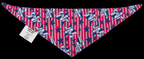 LOONEY TOONS Pet Bandana - Coyote