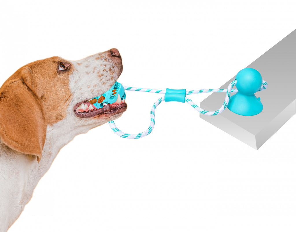 PET NOVA Διαδραστικό Παιχνίδι Μάσησης με Βεντούζα και Μπάλα με άρωμα μέντας 7cm
