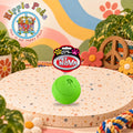 PET NOVA Διαδραστικό Παιχνίδι με άρωμα βανίλιας - Rub Snackball XL